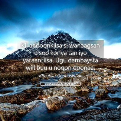 Picture 05 - Maahmaahyadii 29:21 SOM - Kii addoonkiisa si wanaagsan u soo koriya tan iyo - Bible Verse Picture