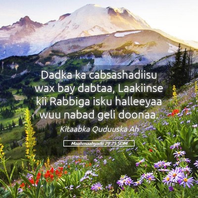 Picture 05 - Maahmaahyadii 29:25 SOM - Dadka ka cabsashadiisu wax bay dabtaa, Laakiinse - Bible Verse Picture
