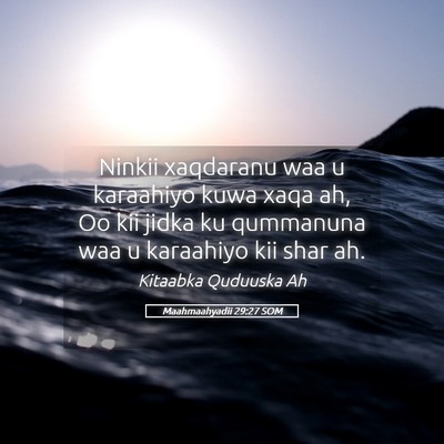 Picture 05 - Maahmaahyadii 29:27 SOM - Ninkii xaqdaranu waa u karaahiyo kuwa xaqa ah, Oo - Bible Verse Picture