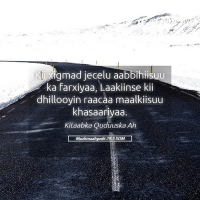 Picture 05 - Maahmaahyadii 29:3 SOM - Kii xigmad jecelu aabbihiisuu ka farxiyaa, - Bible Verse Picture