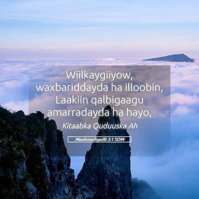 Picture 05 - Maahmaahyadii 3:1 SOM - Wiilkaygiiyow, waxbariddayda ha illoobin, Laakiin - Bible Verse Picture