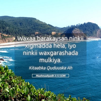 Picture 05 - Maahmaahyadii 3:13 SOM - Waxaa barakaysan ninkii xigmadda hela, Iyo ninkii - Bible Verse Picture