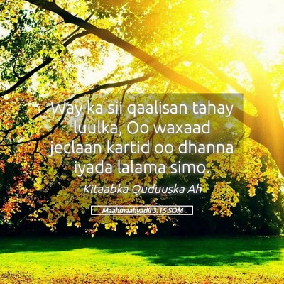 Picture 05 - Maahmaahyadii 3:15 SOM - Way ka sii qaalisan tahay luulka, Oo waxaad - Bible Verse Picture