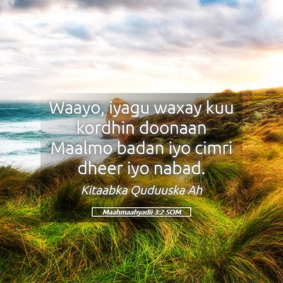 Picture 05 - Maahmaahyadii 3:2 SOM - Waayo, iyagu waxay kuu kordhin doonaan Maalmo - Bible Verse Picture