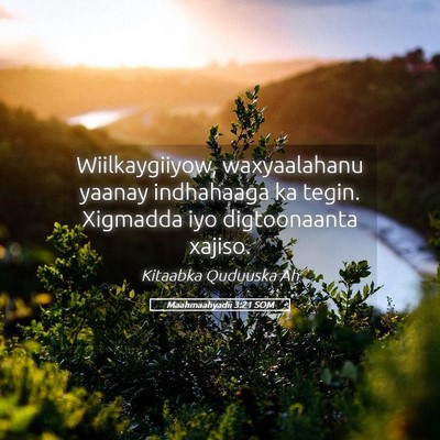 Picture 05 - Maahmaahyadii 3:21 SOM - Wiilkaygiiyow, waxyaalahanu yaanay indhahaaga ka - Bible Verse Picture