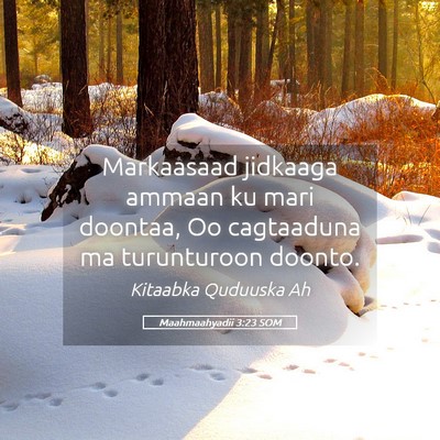 Picture 05 - Maahmaahyadii 3:23 SOM - Markaasaad jidkaaga ammaan ku mari doontaa, Oo - Bible Verse Picture