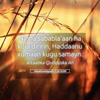 Picture 05 - Maahmaahyadii 3:30 SOM - Ninna sababla'aan ha kula diririn, Haddaanu - Bible Verse Picture