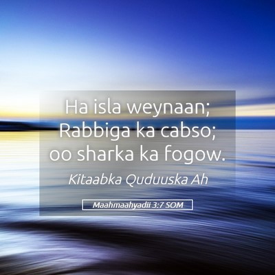 Picture 05 - Maahmaahyadii 3:7 SOM - Ha isla weynaan; Rabbiga ka cabso; oo sharka ka - Bible Verse Picture