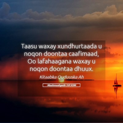 Picture 05 - Maahmaahyadii 3:8 SOM - Taasu waxay xundhurtaada u noqon doontaa - Bible Verse Picture
