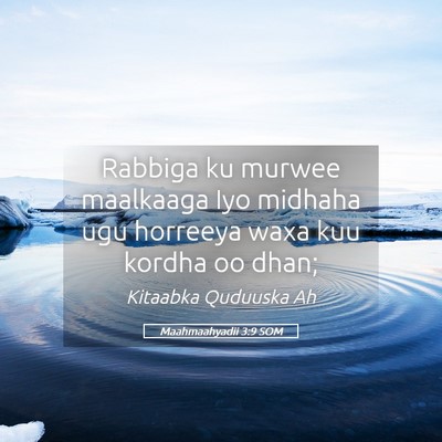 Picture 05 - Maahmaahyadii 3:9 SOM - Rabbiga ku murwee maalkaaga Iyo midhaha ugu - Bible Verse Picture