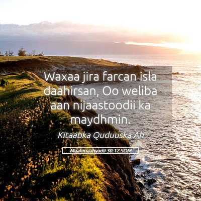 Picture 05 - Maahmaahyadii 30:12 SOM - Waxaa jira farcan isla daahirsan, Oo weliba aan - Bible Verse Picture