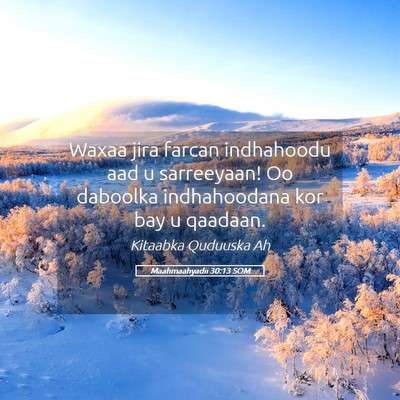 Picture 05 - Maahmaahyadii 30:13 SOM - Waxaa jira farcan indhahoodu aad u sarreeyaan! Oo - Bible Verse Picture