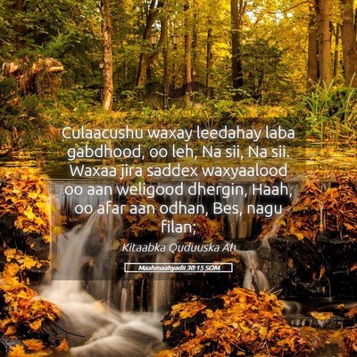 Picture 05 - Maahmaahyadii 30:15 SOM - Culaacushu waxay leedahay laba gabdhood, oo leh, - Bible Verse Picture