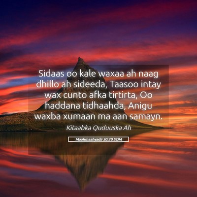 Picture 05 - Maahmaahyadii 30:20 SOM - Sidaas oo kale waxaa ah naag dhillo ah sideeda, - Bible Verse Picture