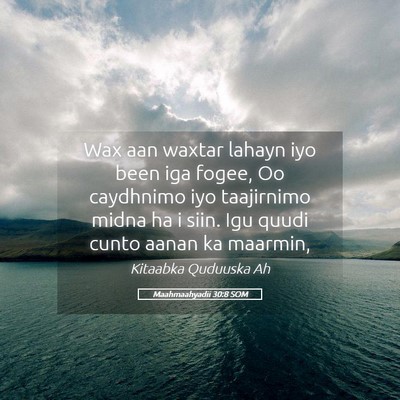 Picture 05 - Maahmaahyadii 30:8 SOM - Wax aan waxtar lahayn iyo been iga fogee, Oo - Bible Verse Picture
