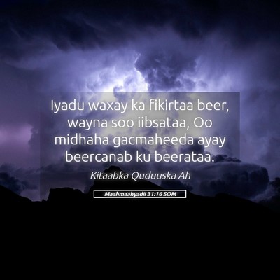 Picture 05 - Maahmaahyadii 31:16 SOM - Iyadu waxay ka fikirtaa beer, wayna soo iibsataa, - Bible Verse Picture