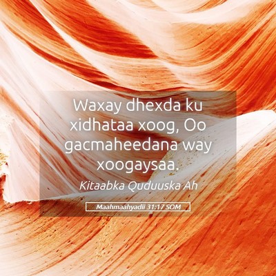 Picture 05 - Maahmaahyadii 31:17 SOM - Waxay dhexda ku xidhataa xoog, Oo gacmaheedana - Bible Verse Picture