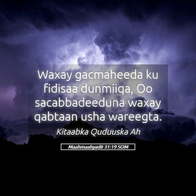 Picture 05 - Maahmaahyadii 31:19 SOM - Waxay gacmaheeda ku fidisaa dunmiiqa, Oo - Bible Verse Picture
