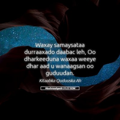 Picture 05 - Maahmaahyadii 31:22 SOM - Waxay samaysataa durraaxado daabac leh, Oo - Bible Verse Picture