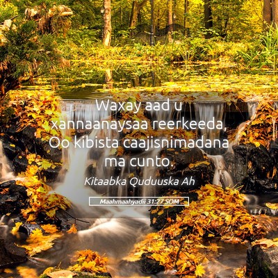 Picture 05 - Maahmaahyadii 31:27 SOM - Waxay aad u xannaanaysaa reerkeeda, Oo kibista - Bible Verse Picture