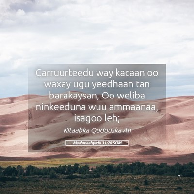 Picture 05 - Maahmaahyadii 31:28 SOM - Carruurteedu way kacaan oo waxay ugu yeedhaan tan - Bible Verse Picture