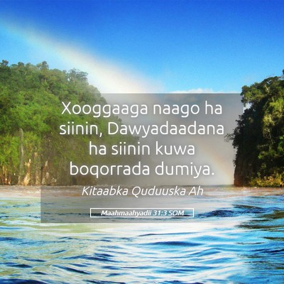 Picture 05 - Maahmaahyadii 31:3 SOM - Xooggaaga naago ha siinin, Dawyadaadana ha siinin - Bible Verse Picture
