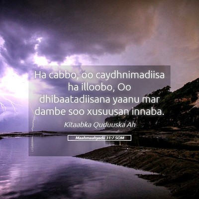Picture 05 - Maahmaahyadii 31:7 SOM - Ha cabbo, oo caydhnimadiisa ha illoobo, Oo - Bible Verse Picture