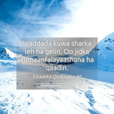 Picture 05 - Maahmaahyadii 4:14 SOM - Waddada kuwa sharka leh ha gelin, Oo jidka - Bible Verse Picture