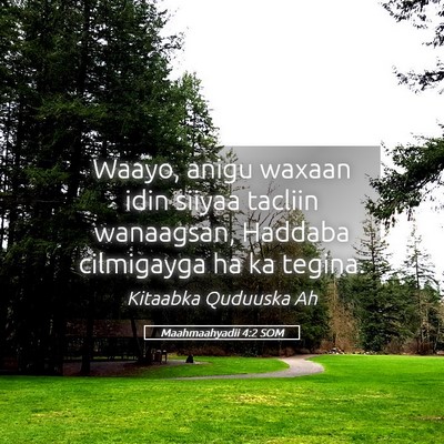 Picture 05 - Maahmaahyadii 4:2 SOM - Waayo, anigu waxaan idin siiyaa tacliin - Bible Verse Picture