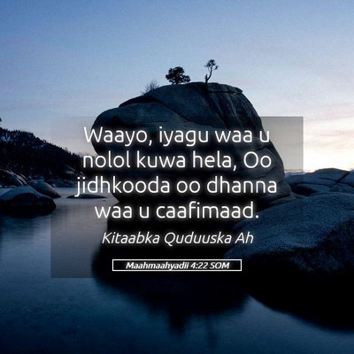Picture 05 - Maahmaahyadii 4:22 SOM - Waayo, iyagu waa u nolol kuwa hela, Oo jidhkooda - Bible Verse Picture