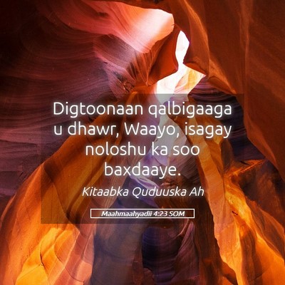 Picture 05 - Maahmaahyadii 4:23 SOM - Digtoonaan qalbigaaga u dhawr, Waayo, isagay - Bible Verse Picture