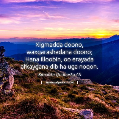 Picture 05 - Maahmaahyadii 4:5 SOM - Xigmadda doono, waxgarashadana doono; Hana - Bible Verse Picture