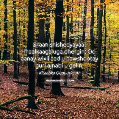 Picture 05 - Maahmaahyadii 5:10 SOM - Si aan shisheeyayaal maalkaaga uga dhergin; Oo - Bible Verse Picture