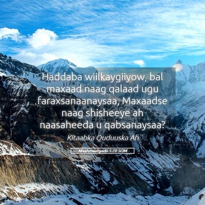 Picture 05 - Maahmaahyadii 5:20 SOM - Haddaba wiilkaygiiyow, bal maxaad naag qalaad ugu - Bible Verse Picture