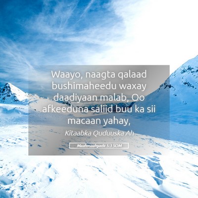 Picture 05 - Maahmaahyadii 5:3 SOM - Waayo, naagta qalaad bushimaheedu waxay daadiyaan - Bible Verse Picture