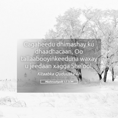 Picture 05 - Maahmaahyadii 5:5 SOM - Cagaheedu dhimashay ku dhaadhacaan, Oo - Bible Verse Picture