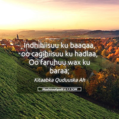 Picture 05 - Maahmaahyadii 6:13 SOM - Indhihiisuu ku baaqaa, oo cagihiisuu ku hadlaa, - Bible Verse Picture