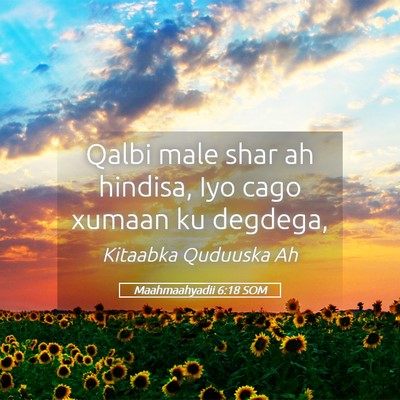 Picture 05 - Maahmaahyadii 6:18 SOM - Qalbi male shar ah hindisa, Iyo cago xumaan ku - Bible Verse Picture