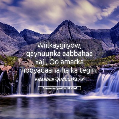 Picture 05 - Maahmaahyadii 6:20 SOM - Wiilkaygiiyow, qaynuunka aabbahaa xaji, Oo amarka - Bible Verse Picture