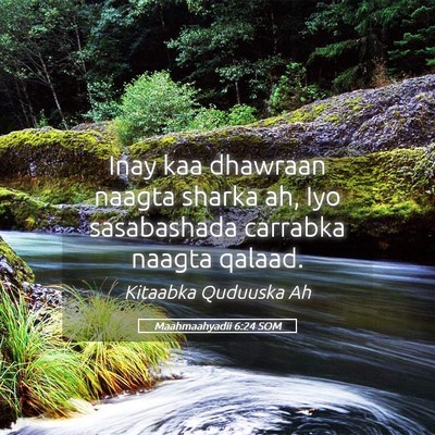 Picture 05 - Maahmaahyadii 6:24 SOM - Inay kaa dhawraan naagta sharka ah, Iyo - Bible Verse Picture