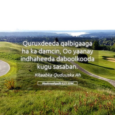 Picture 05 - Maahmaahyadii 6:25 SOM - Quruxdeeda qalbigaaga ha ka damcin, Oo yaanay - Bible Verse Picture
