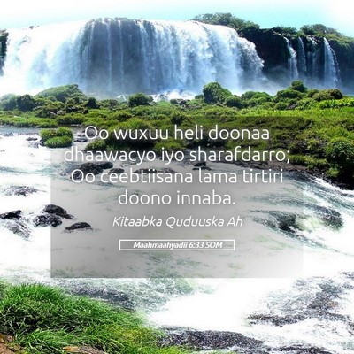 Picture 05 - Maahmaahyadii 6:33 SOM - Oo wuxuu heli doonaa dhaawacyo iyo sharafdarro; - Bible Verse Picture