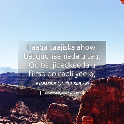 Picture 05 - Maahmaahyadii 6:6 SOM - Kaaga caajiska ahow, bal qudhaanjada u tag, Oo - Bible Verse Picture