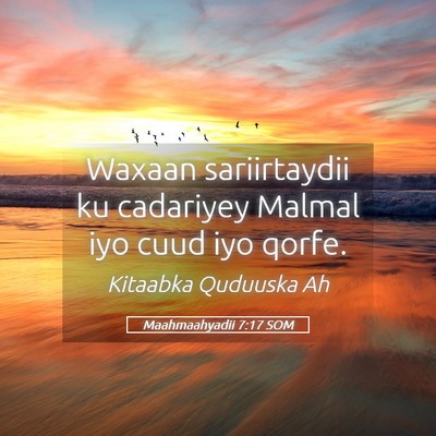 Picture 05 - Maahmaahyadii 7:17 SOM - Waxaan sariirtaydii ku cadariyey Malmal iyo cuud - Bible Verse Picture