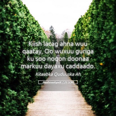 Picture 05 - Maahmaahyadii 7:20 SOM - Kiish lacag ahna wuu qaatay, Oo wuxuu guriga ku - Bible Verse Picture