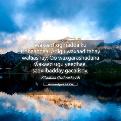 Picture 05 - Maahmaahyadii 7:4 SOM - Waxaad xigmadda ku tidhaahdaa, Adigu waxaad tahay - Bible Verse Picture