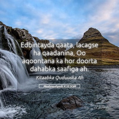 Picture 05 - Maahmaahyadii 8:10 SOM - Edbintayda qaata, lacagse ha qaadanina, Oo - Bible Verse Picture