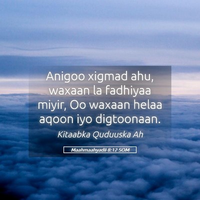 Picture 05 - Maahmaahyadii 8:12 SOM - Anigoo xigmad ahu, waxaan la fadhiyaa miyir, Oo - Bible Verse Picture