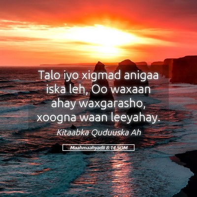 Picture 05 - Maahmaahyadii 8:14 SOM - Talo iyo xigmad anigaa iska leh, Oo waxaan ahay - Bible Verse Picture