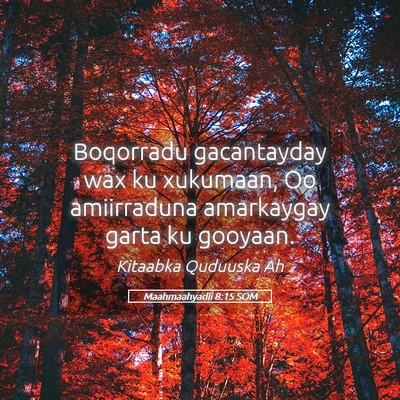 Picture 05 - Maahmaahyadii 8:15 SOM - Boqorradu gacantayday wax ku xukumaan, Oo - Bible Verse Picture